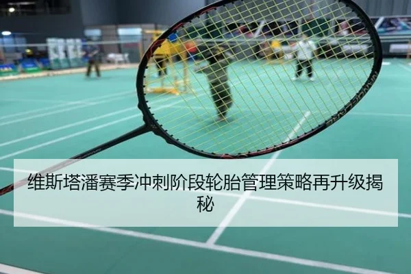 维斯塔潘赛季冲刺阶段轮胎管理策略再升级揭秘